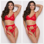 Sexy Red Lingerie